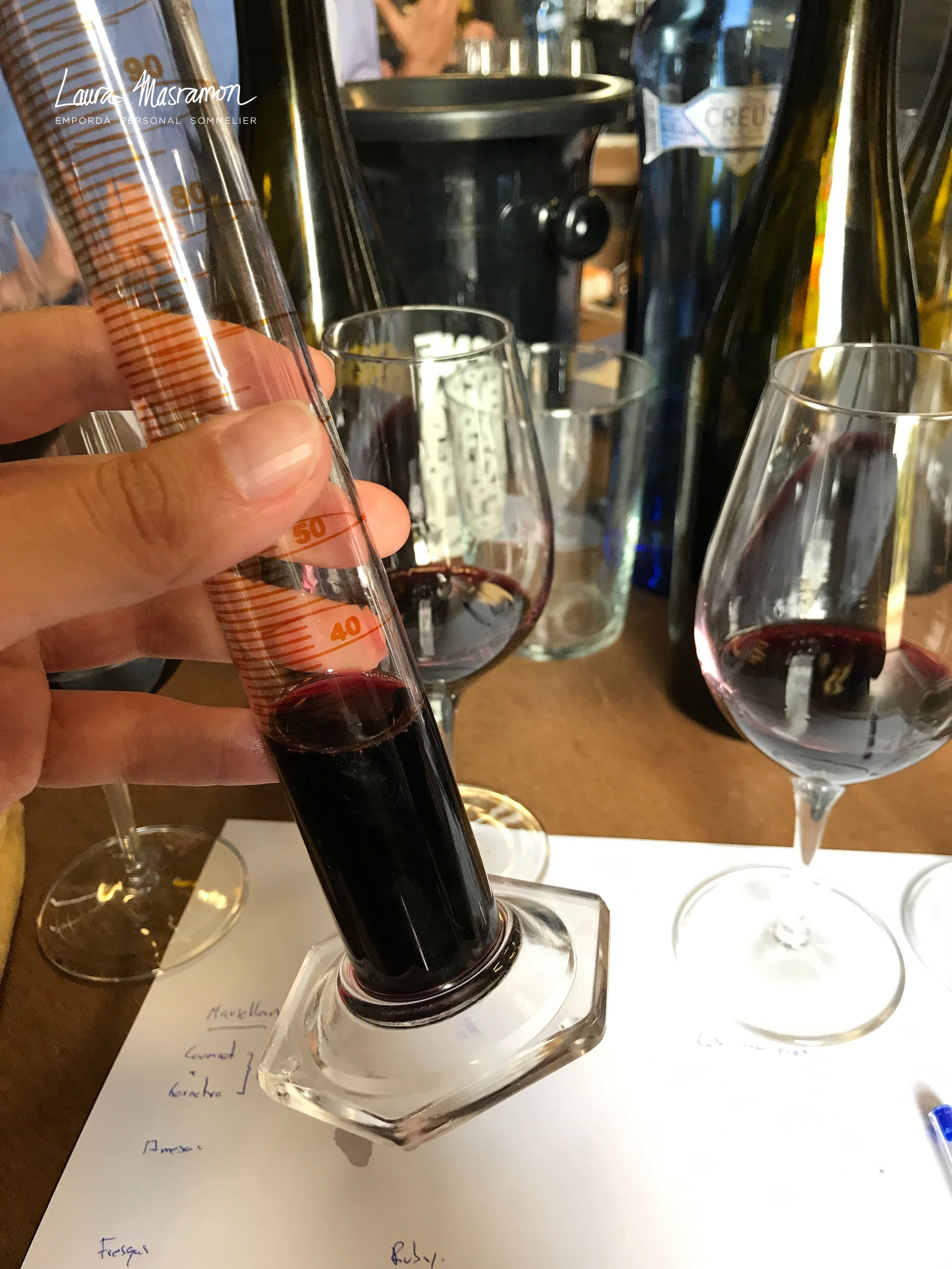  Enologist for a Day 2