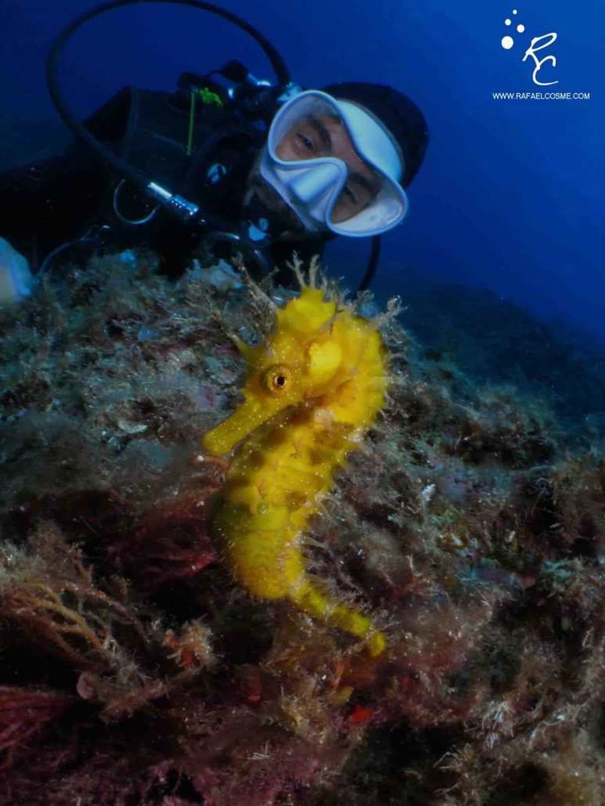 Your first underwater experience 3