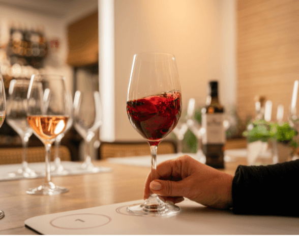 Descubre el Vino Español con una Experiencia Única en Lloret de Mar 3