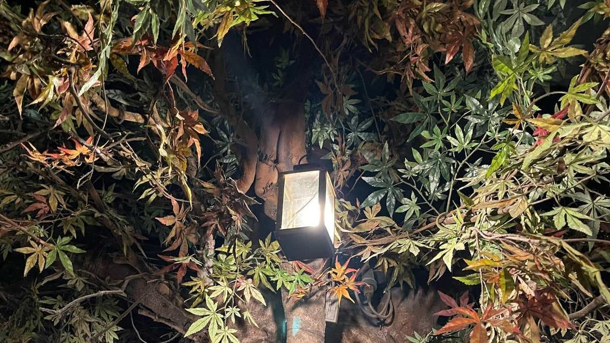 Visitia el Museu i el Bosc de les Fades 5