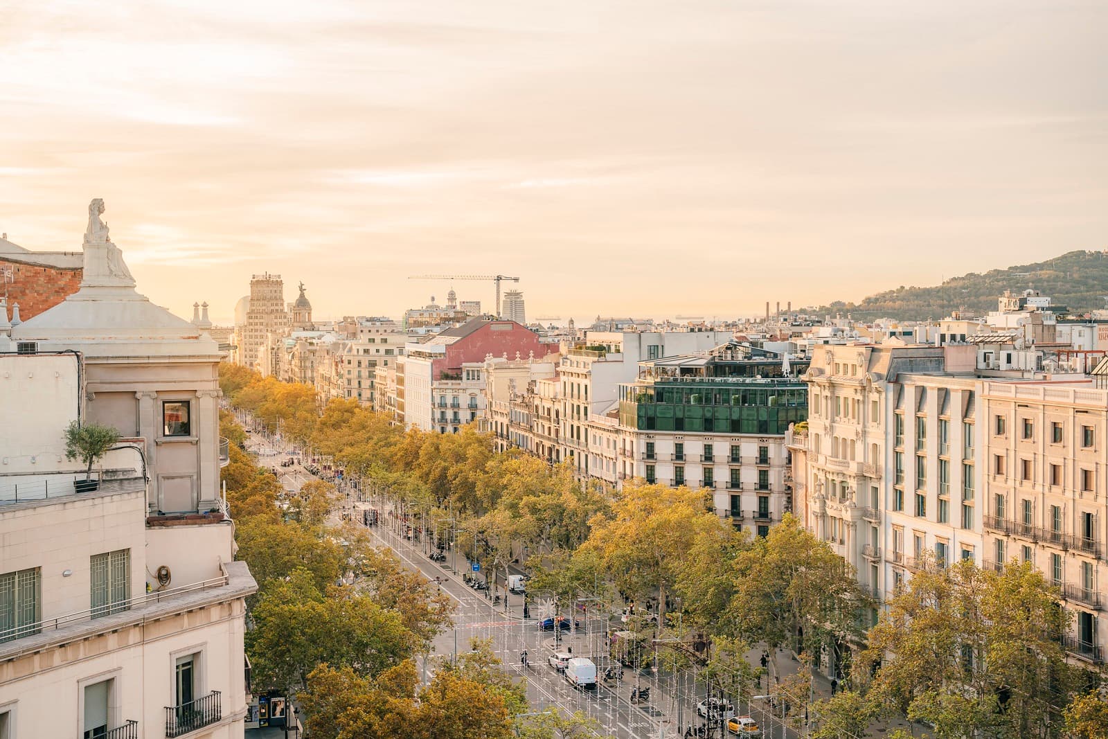Visita Guiada a La Pedrera: Descobreix la Joia de Gaudí Sense Esperes 5
