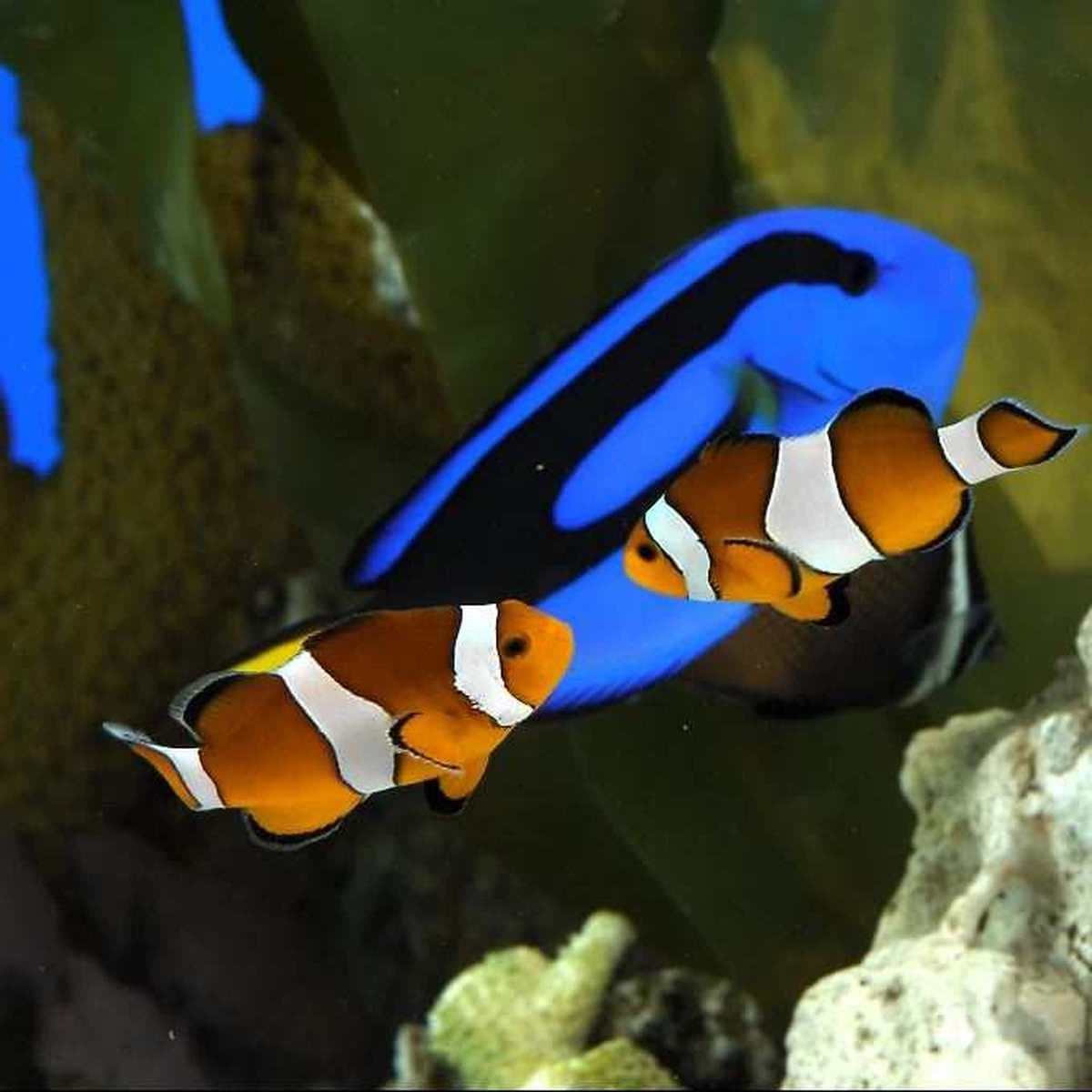 Barcelona Aquarium 4