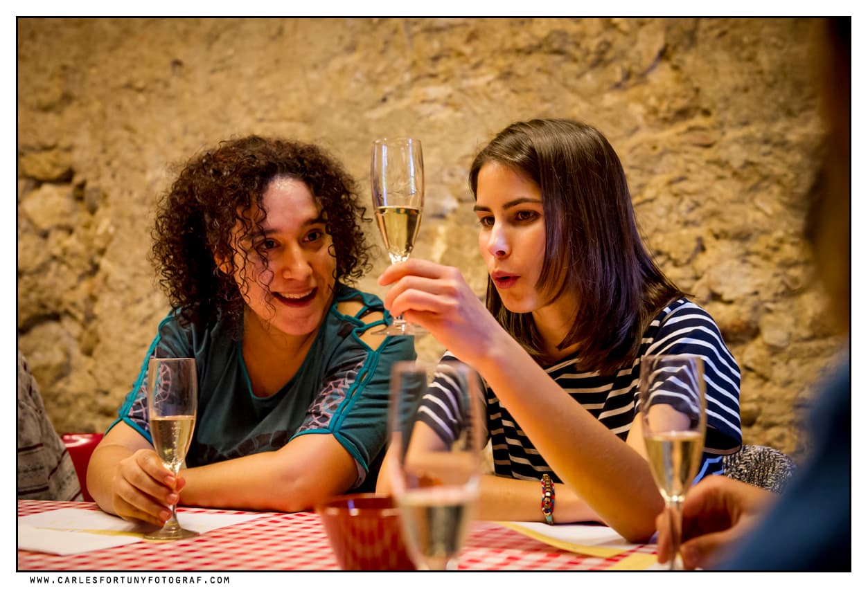 Visita Nuestros Viñedos y Celler: Sumérgete en la Historia del Cava
