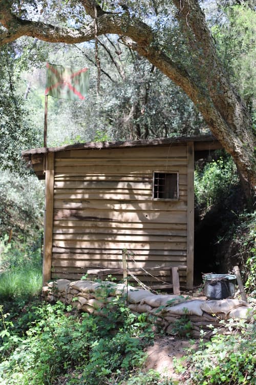 Erlebe das Abenteuer des Forest Escape Games: Herausforderung im Freien im Wald! 2
