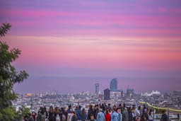 Sáltate la fila:  visita guiada park güell