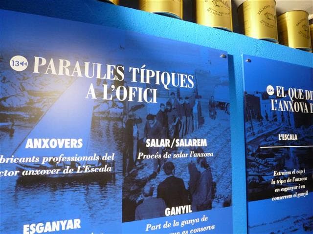 Experiència Anxova: Visita al Museu i Degustació a L’Escala 5