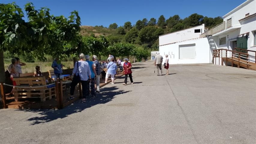Experiència Anxova: Visita al Museu i Degustació a L’Escala 4