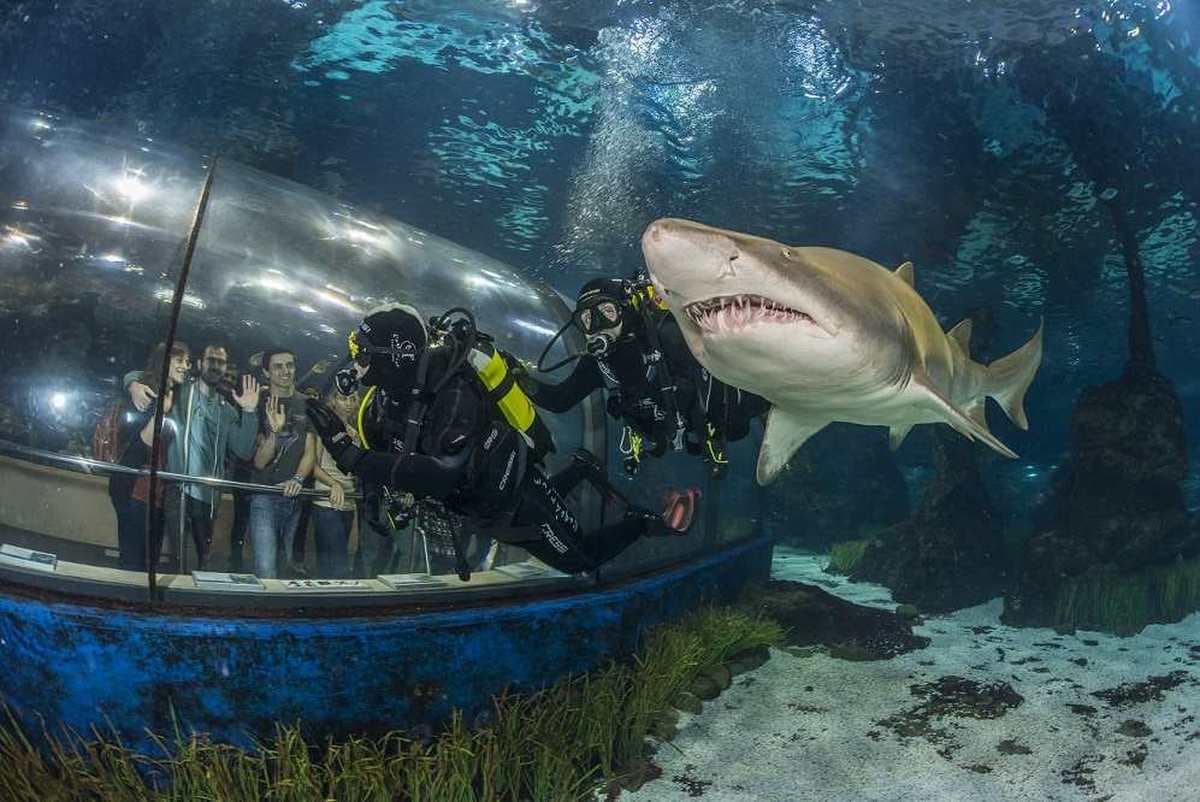 Aquarium de Barcelona